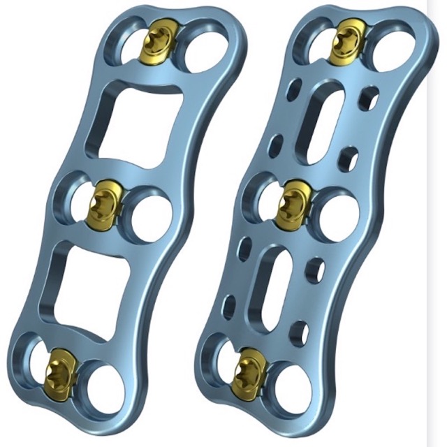 Ozark Anterior cervical plate system stryker