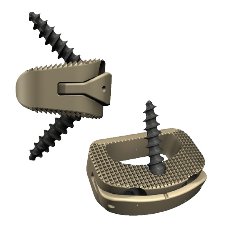 中学硬式 Global Elite ENDEAVOR PX99 83cm Product-detail | NeuroSpine